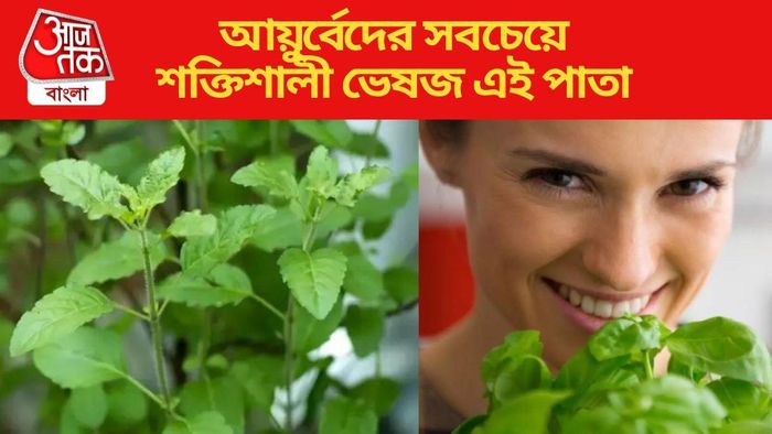 আয়ুর্বেদের সবচেয়ে শক্তিশালী ভেষজ এই পাতা