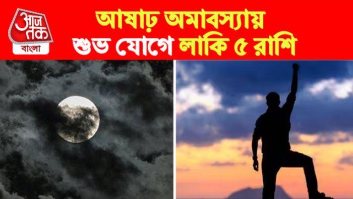 ashadha amavasya lucky zodiacs