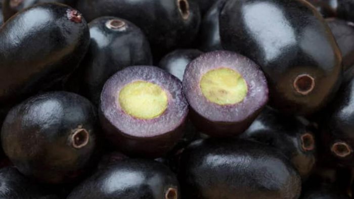 ফাইল ছবি।