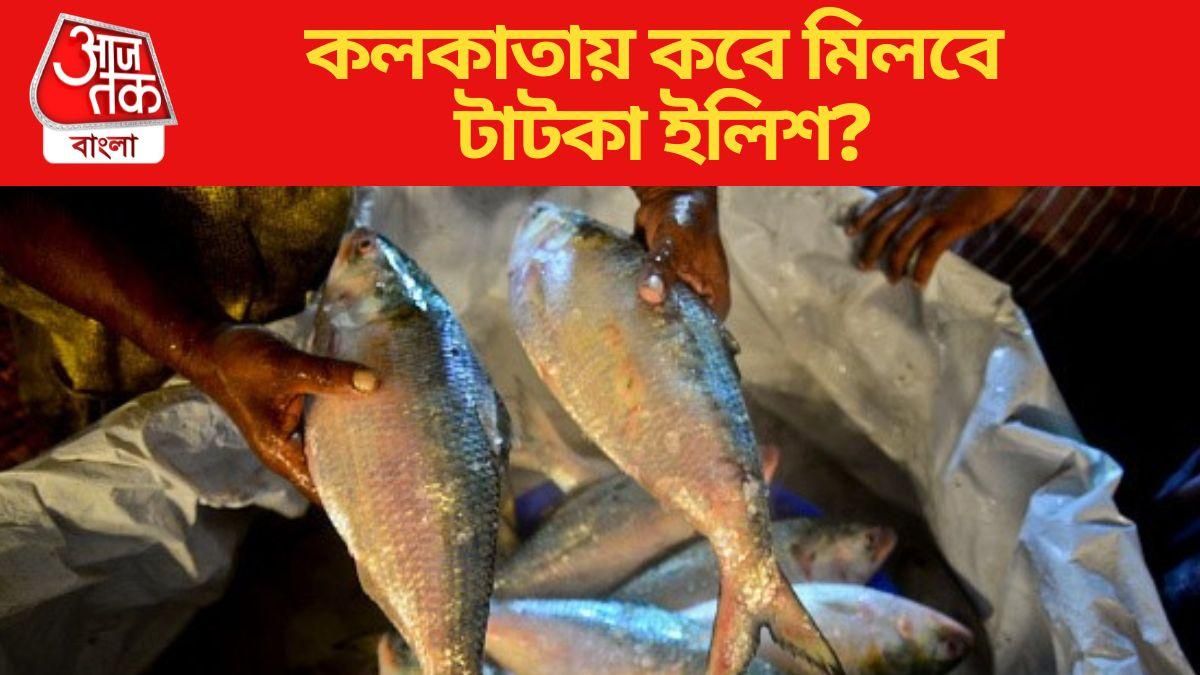 বর্ষার প্রাক্কালেই সমুদ্রে পাড়ি মৎস্যজীবীদের, বাজারে টাটকা ইলিশ আসছে কবে? বর্ষার প্রাক্কালেই সমুদ্রে পাড়ি মৎস্যজীবীদের, বাজারে টাটকা ইলিশ আসছে কবে?
