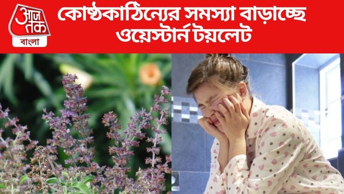 কোষ্ঠকাঠিন্যের সমস্যা বাড়াচ্ছে ওয়েস্টার্ন টয়লেট