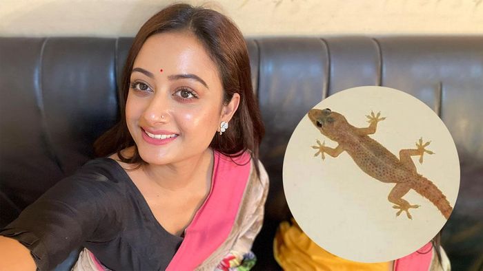 অভিনেত্রী তন্বী লাহা রায় (ছবি: ফেসবুক)