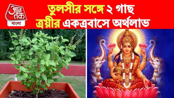 Tulsi Astro Tips