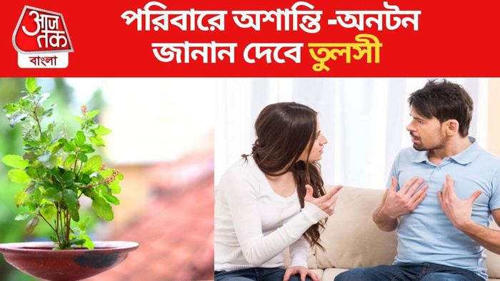 বাড়ির যে কোনও ঘটনার আগাম জানান দেয় তুলসী গাছ