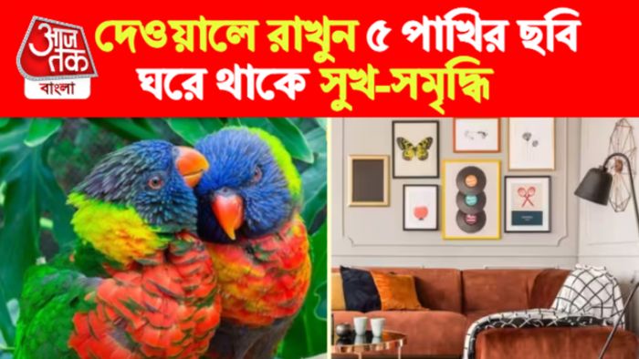 Birds Photo Vastu Tips। পাখির ছবি বাস্তু টিপস।