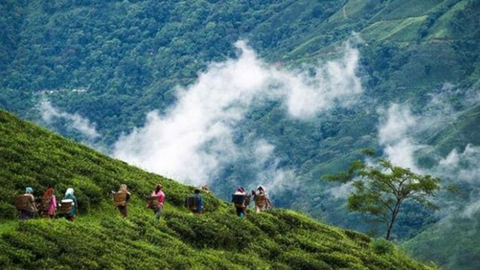 উত্তরবঙ্গের এই জায়গাগুলির নাম শোনেননি অনেকেই, শান্তি-সৌন্দর্যে টেক্কা দেয় দার্জিলিং, গ্যাংটককেও