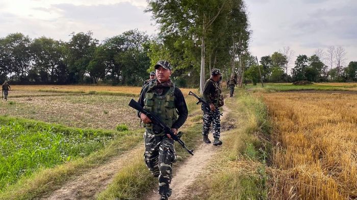 ফাইল ছবি