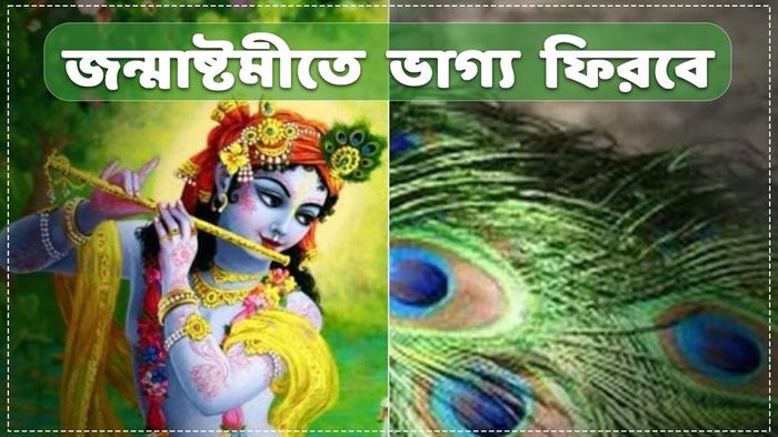 জন্মাষ্টমীতে বাড়িতে আনুন এই ৫ জিনিস, ভাগ্য ঘুরতে সময় লাগবে না