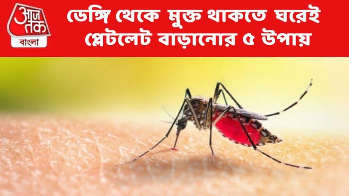 ডেঙ্গি থেকে বাঁচতে ঘরেই প্লেটলেট বাড়ানোর ৫ সহজ উপায়