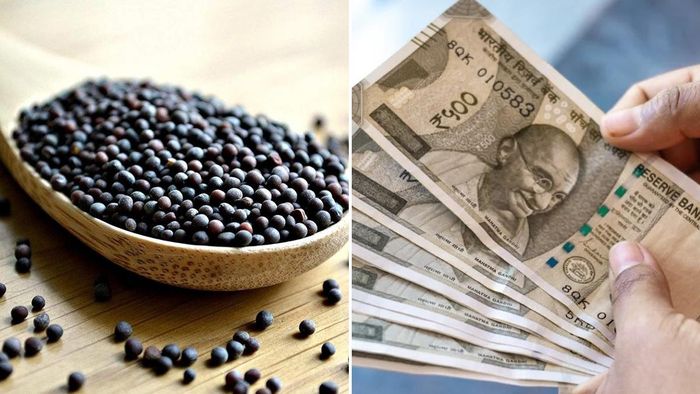 আর্থিক উন্নতি করতে করুন এই টোটকা