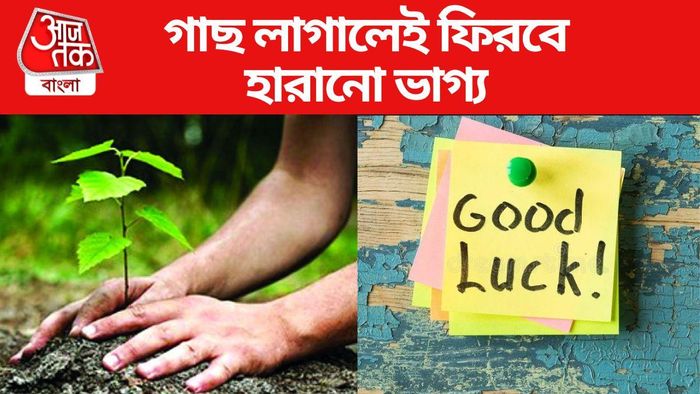 গাছ লাগালেই ফিরবে আপনার ভাগ্য