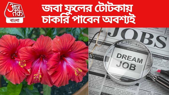 নতুন চাকরি পেতে করুন এই টোটকা
