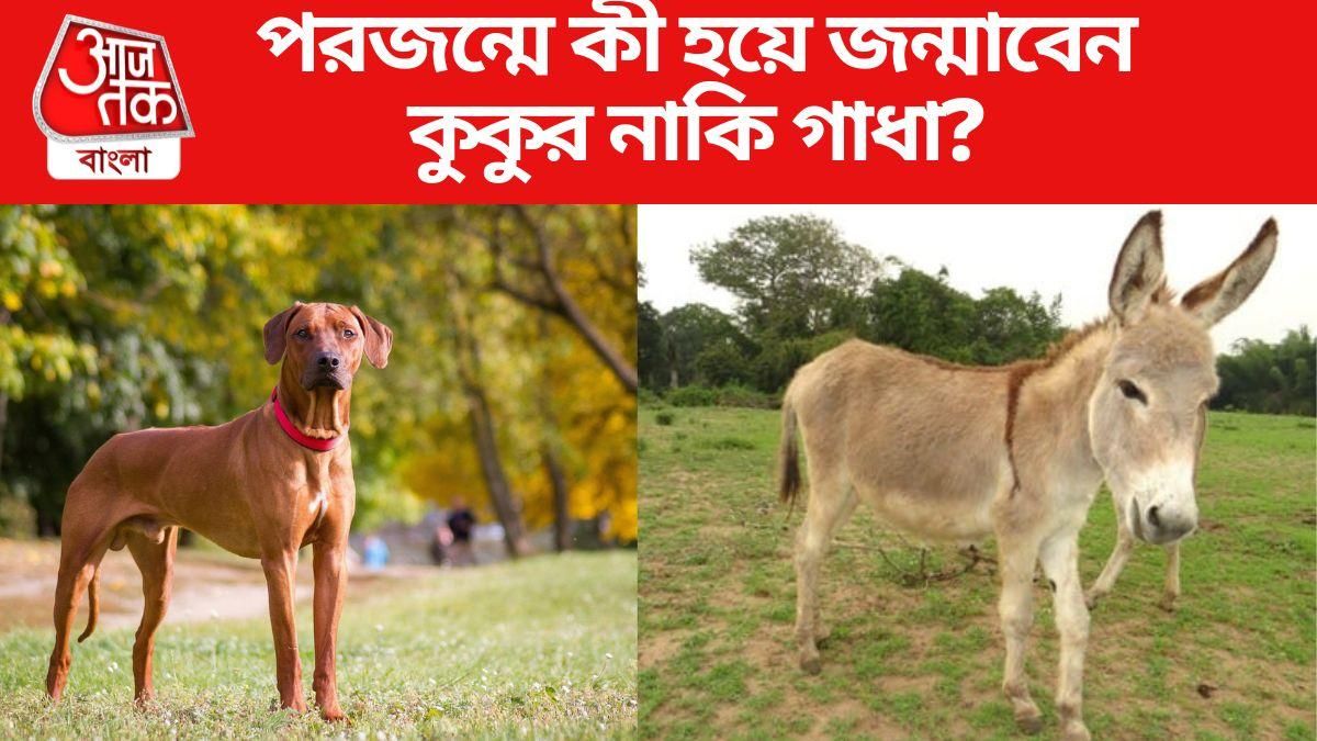 পরজন্মে কী হবেন জানাচ্ছে গরুড় পুরাণ