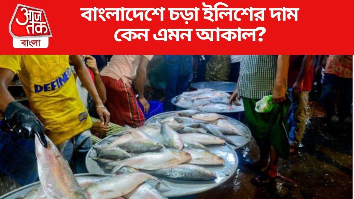 কেন এমন আকাল?