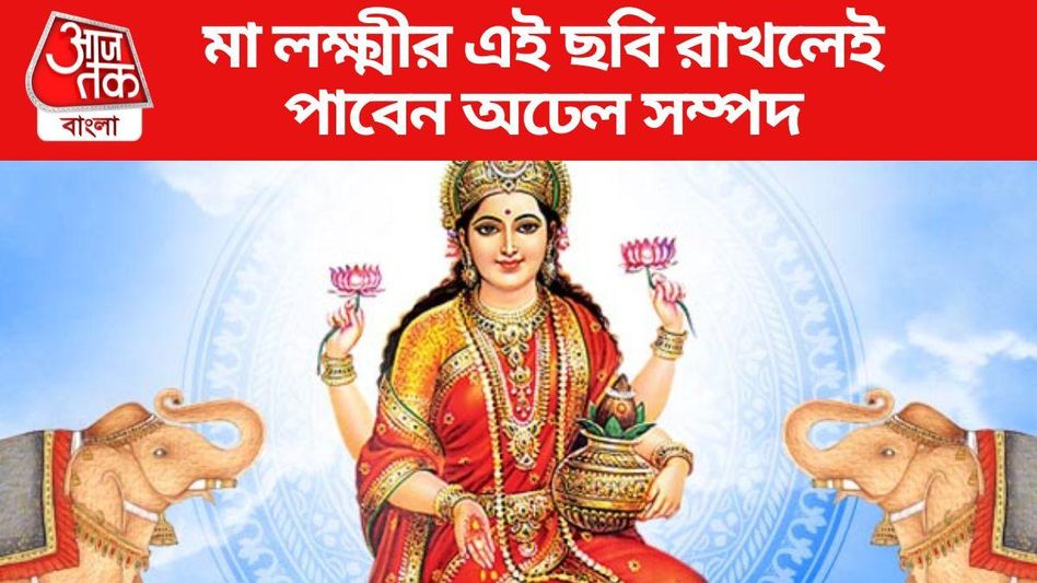বাড়িতে মা লক্ষ্মীর এমন ছবি রাখুন, টাকা-পয়সার অভাব হবে না বাড়িতে মা লক্ষ্মীর এমন ছবি রাখুন, টাকা-পয়সার অভাব হবে না