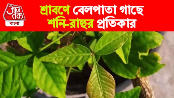 বেলপাতার প্রতিকার।