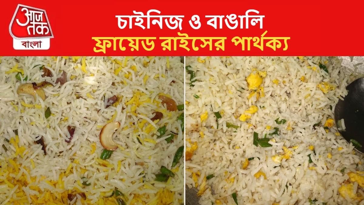 দুই ধরণের ফ্রায়েড রাইস