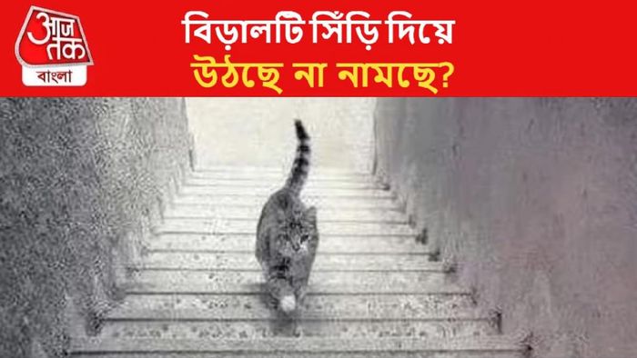 অপটিক্যাল ইলিউশন