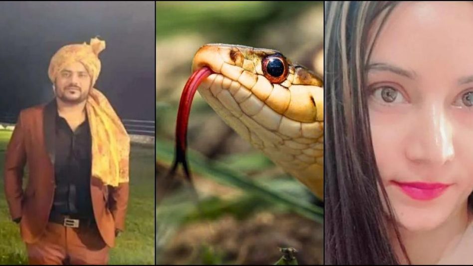 ব্রেক-আপ চাইছিল, না পেয়ে যুবককে সাপের ছোবলে খুন করল গার্লফ্রেন্ড  ব্রেক-আপ চাইছিল, না পেয়ে যুবককে সাপের ছোবলে খুন করল গার্লফ্রেন্ড