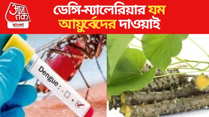 Dengue Home Remedies। ডেঙ্গির ঘরোয়া প্রতিকার।