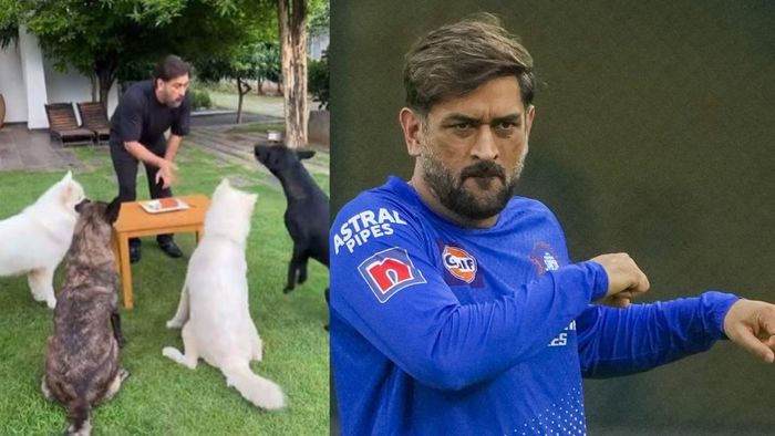 মহেন্দ্র সিং ধোনি