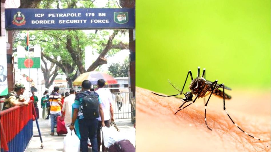 বাংলাদেশি মশা 'সাইলেন্ট স্প্রেডার', চিন্তায় রাজ্য, সীমান্তে স্পেশাল ব্যবস্থার প্রস্তাব বাংলাদেশি মশা 'সাইলেন্ট স্প্রেডার', চিন্তায় রাজ্য, সীমান্তে স্পেশাল ব্যবস্থার প্রস্তাব