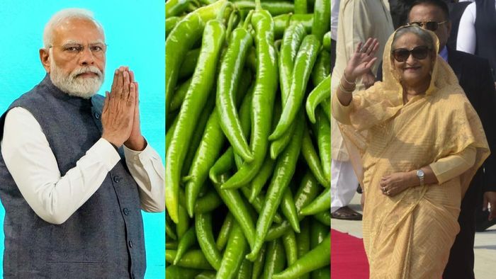 পাশে মোদী সরকার, এক ধাক্কায় বাংলাদেশে কাঁচা লঙ্কার দাম কমল ৩০০ টাকা