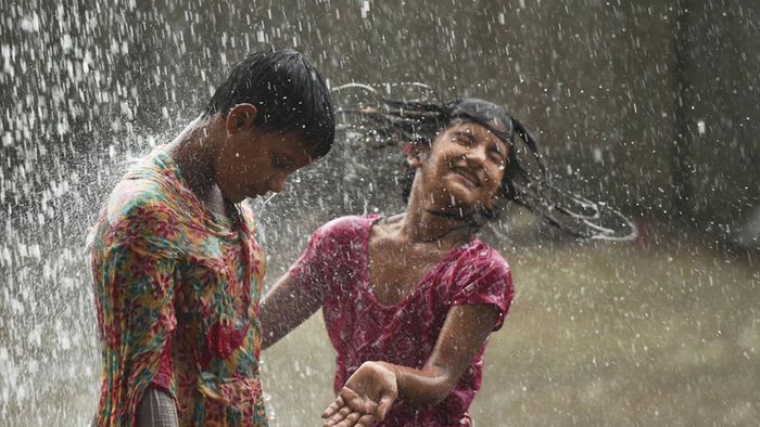 প্রতীকী ছবি (PTI)