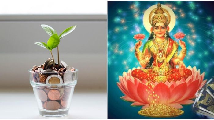 লক্ষ্মীর প্রিয় ফুল