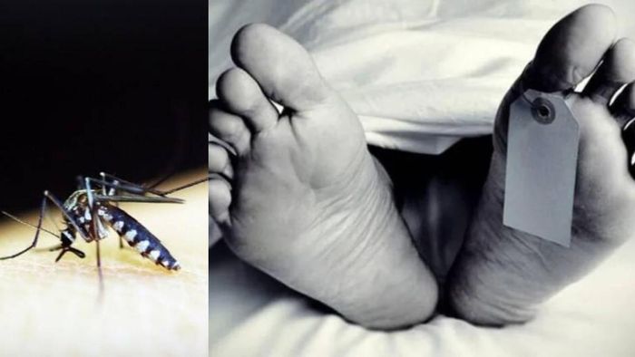 প্রতীকী ছবি