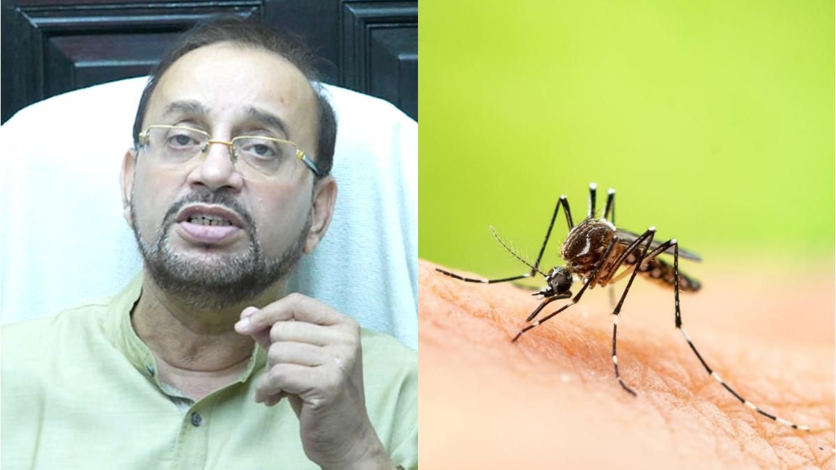 ফাইল ছবি।