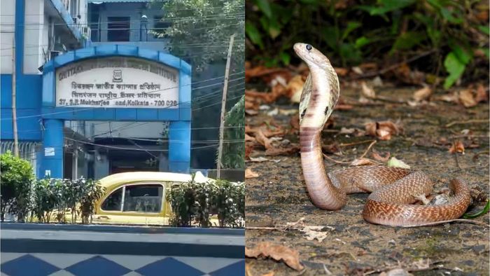 ফাইল ছবি।