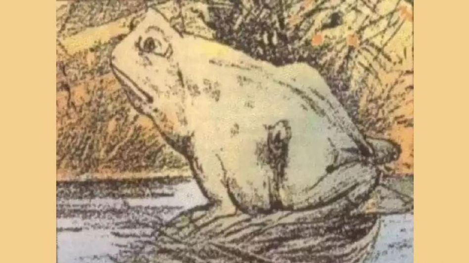 ছবিতে প্রথমে ব্যাঙ দেখলেন না ঘোড়া? উত্তরেই বোঝা যাবে আপনার চরিত্র ছবিতে প্রথমে ব্যাঙ দেখলেন না ঘোড়া? উত্তরেই বোঝা যাবে আপনার চরিত্র