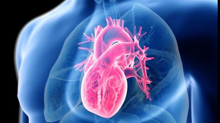 প্রতীকী ছবি।