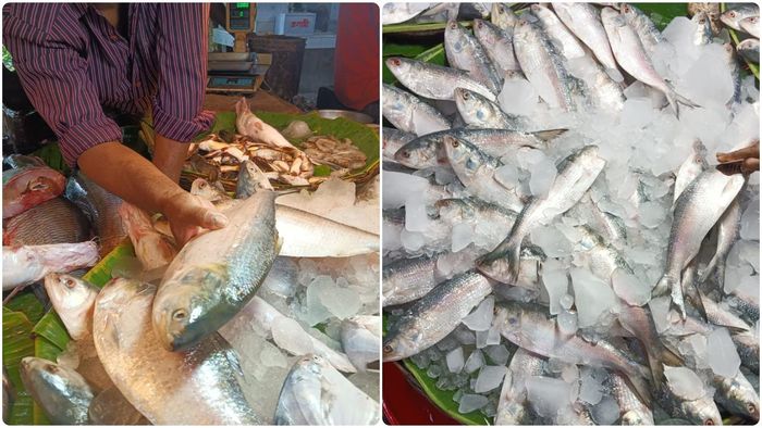 ফাইল কপি।