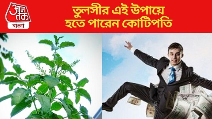 তুলসীর এই উপায়ে হতে পারেন কোটিপতি