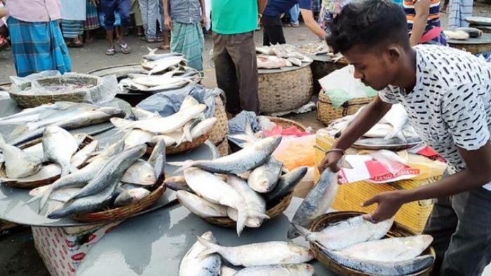 ফাইল ছবি।