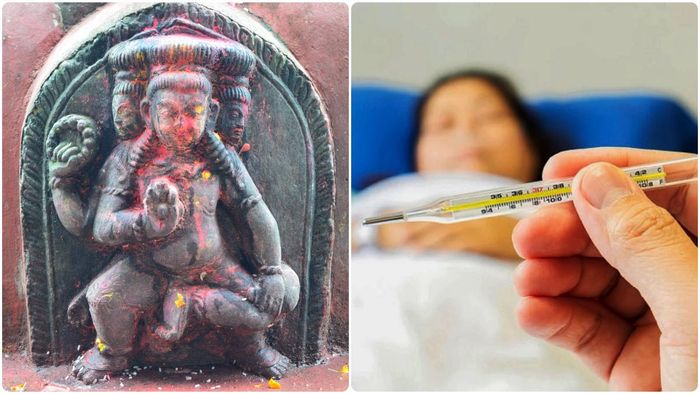 ফাইল ছবি।