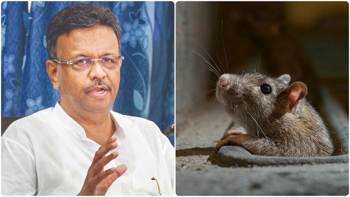 ফাইল ছবি।