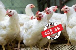 Facebook Users Facebook Users