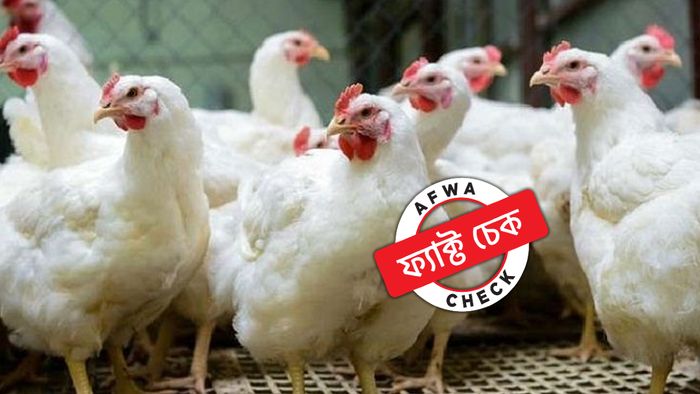 ফের কলকাতায় পচা মুরগির মাংস বিক্রি? ৫ বছরের পুরনো ভিডিয়ো পোস্ট করে গুজব ছড়ানোর চেষ্টা