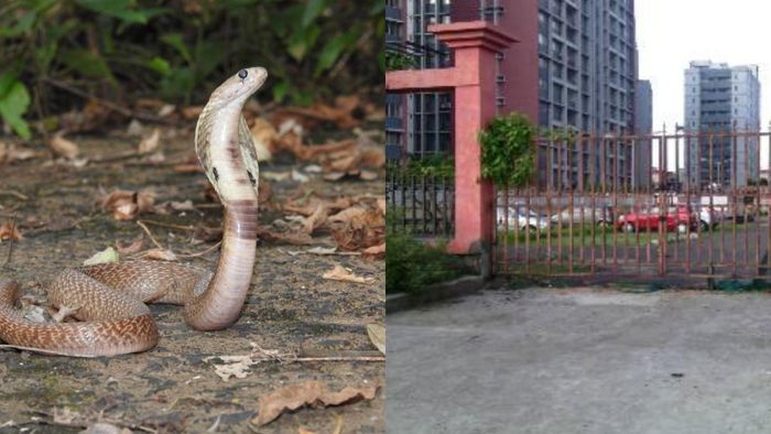 প্রতীকী ছবি।