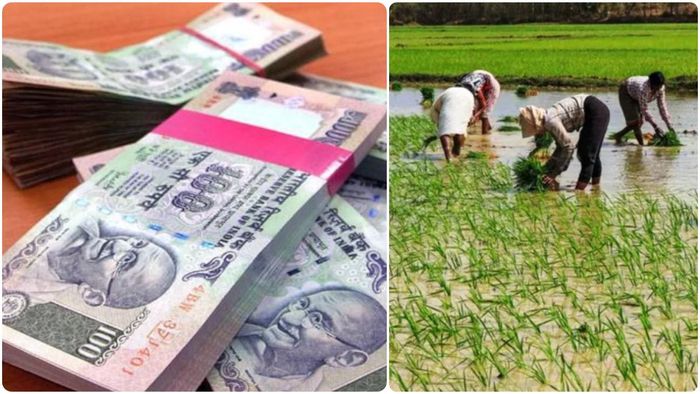 PM Kisan-এর টাকা পাননি? জানুন অনলাইনে কোথায়-কীভাবে অভিযোগ করবেন।