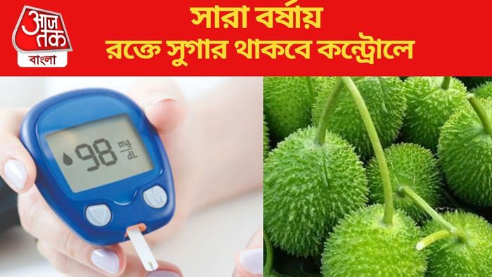 সারা বর্ষায় রক্তে সুগার থাকবে কন্ট্রোলে