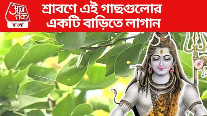 শ্রাবণে এই গাছগুলোর একটি বাড়িতে লাগান
