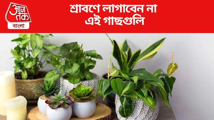 শ্রাবণে লাগাবেন না এই গাছগুলি