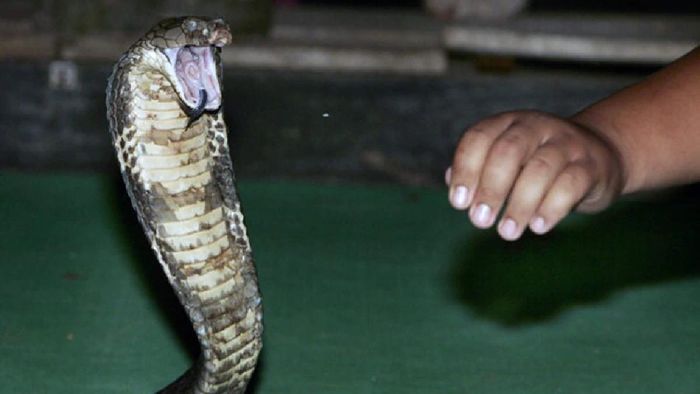 ফাইল ছবি।