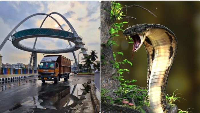 ফাইল ছবি।