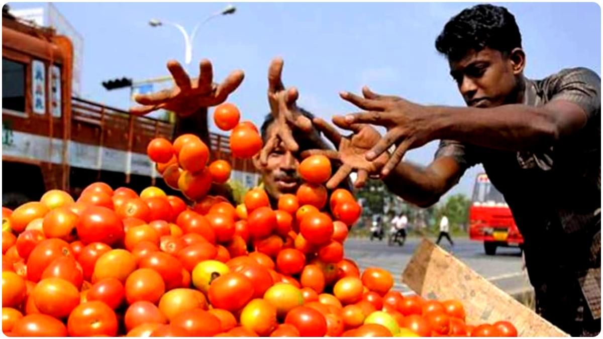 একমাস আগে যে দামে এক কেজি টমেটো পাওয়া যেত, এখন সেই দামে একটা বা দু’টো টমেটো পাল্লায় উঠছে।