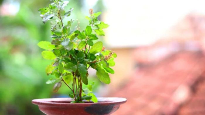 প্রতীকী ছবি